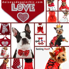 Sweethearts Holiday Pet Fashion Seeing Red