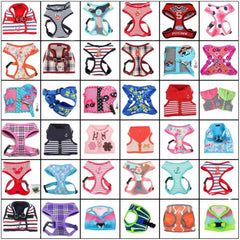 Harnesses All Types &amp; Sizes