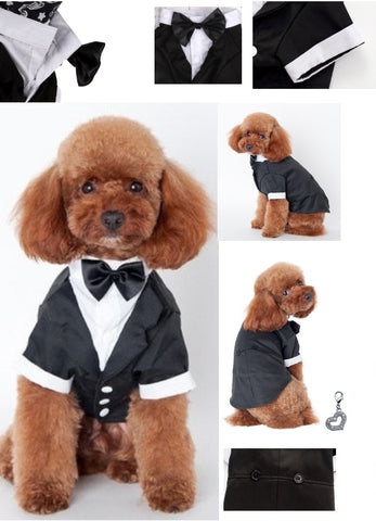 Wedding Formal Black Tails Tuxedo Jacket With Attached Shirt Bow Tie and Themed Accessory - Dog Sizes XS to 2XL - Daisey's Doggie Chic