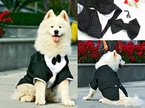 Wedding Formal Black Tails Tuxedo Jacket With Detachable Bow Tie and Themed Accessory - For Bog Dog Sizes 3XL to 5XL - Daisey's Doggie Chic