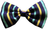 Super Fun & Festive Bow Tie for Small Dogs in Purple/Aqua Stripe - Daisey's Doggie Chic