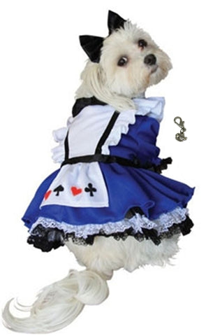 Alice in Wonderland Dog Costume with Charm - Daisey's Doggie Chic