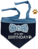 It's My Birthday (Boy) Bandana Scarf with Pin in color Blue/White - Daisey's Doggie Chic