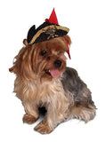 Buccaneer Pirate Hat for Dogs - Daisey's Doggie Chic