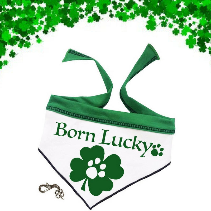 Born Lucky Irish Clover Themed Bandana Scarf with Charm - color Green/White - Daisey's Doggie Chic