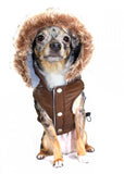 Swiss Alpine Hooded Jacket in Color Brown - Daisey's Doggie Chic