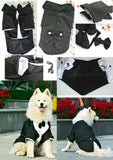 Wedding Formal Black Tails Tuxedo Jacket With Detachable Bow Tie and Themed Accessory - For Bog Dog Sizes 3XL to 5XL - Daisey's Doggie Chic