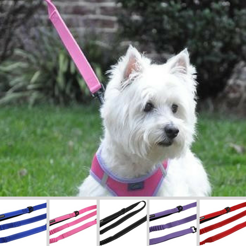 Soft Pull Traffic Leash with Soft Grip Handle - 4ft plus 6" stretch extension x 1" wide - Available in 5 colors - Daisey's Doggie Chic