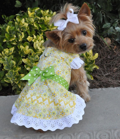 Yellow Daisies Floral and Lace Party Harness Dress with Charm and matching Leash - Daisey's Doggie Chic