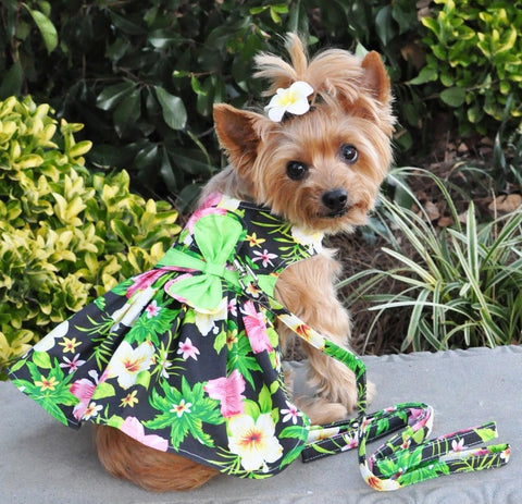 Black Hibiscus Hawaiian Floral Party Harness Dress with Charm and matching Leash - Daisey's Doggie Chic