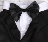 Wedding Formal Black Tails Tuxedo Jacket With Attached Shirt Bow Tie and Themed Accessory - Dog Sizes XS to 2XL - Daisey's Doggie Chic