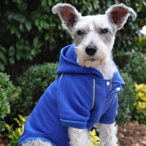 Fleece Lined Sport Sweatshirt Hoodie for Dogs in Color Nautical Blue - Daisey's Doggie Chic