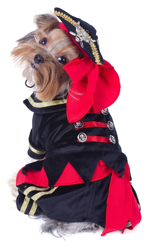 Deluxe Supreme Buccaneer Pirate Costume with Tricorner Hat for Dogs - Daisey's Doggie Chic