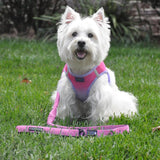 Soft Pull Traffic Leash with Soft Grip Handle - 4ft plus 6" stretch extension x 1" wide - Available in 5 colors - Daisey's Doggie Chic