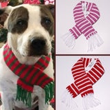 Candy Cane Striped Knit Fringe Scarf for Dogs Available in 4 Colors - Daisey's Doggie Chic