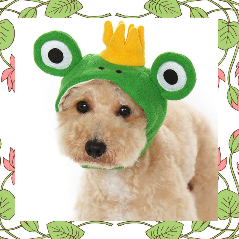 Plush Crown Prince Frog Hat for Dogs - Sizes XS to XL - Daisey's Doggie Chic