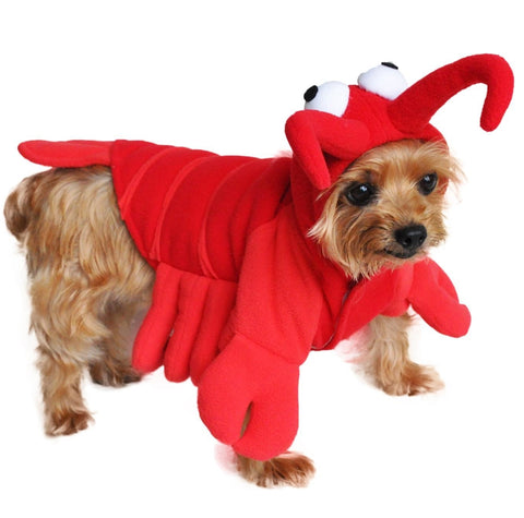Plush Red Lobster Costume for Dogs - Daisey's Doggie Chic
