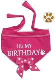 It's My Birthday (Girl or Boy) Bandana Scarf with Pin in Choice of color Pink or Blue - Daisey's Doggie Chic