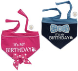 It's My Birthday (Girl or Boy) Bandana Scarf with Pin in Choice of color Pink or Blue - Daisey's Doggie Chic