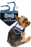 It's My Birthday (Boy) Bandana Scarf with Pin in color Blue/White - Daisey's Doggie Chic