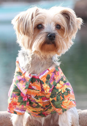 Camp Shirt in color Hawaiian Hibiscus Sunset - Daisey's Doggie Chic