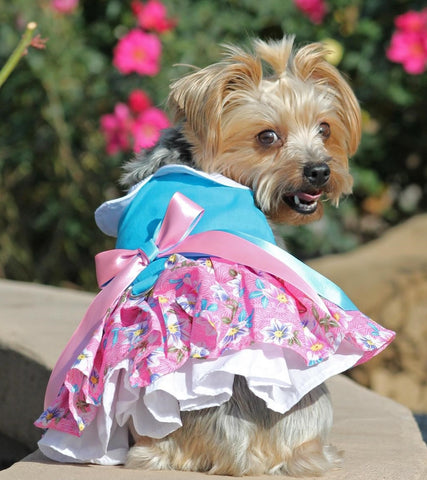 Pink & Blue Floral Party Harness Dress with Charm and matching Leash - Daisey's Doggie Chic