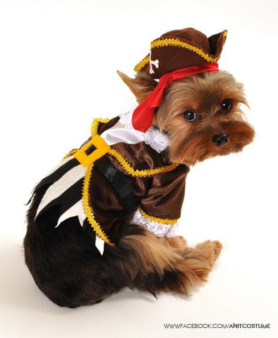 Pirate " Seadog Captain" Dog Costume - Daisey's Doggie Chic
