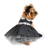 Doggie Design "Polka Dot Daisy" Harness Party Dress with matching Leash Set in Black/White - Daisey's Doggie Chic