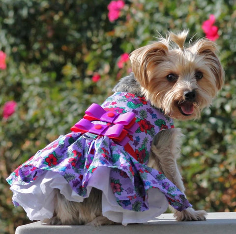 Lavender Violets Floral Party Harness Dress with Charm and matching Leash - Daisey's Doggie Chic