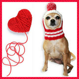 Crown Rib Knit Hat w/PomPom for Dogs in color Red - Daisey's Doggie Chic