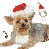 Plush Red Santa Hat with Attached Beard - Includes Candy Cane Charm - Dog Sizes XS to L - Daisey's Doggie Chic