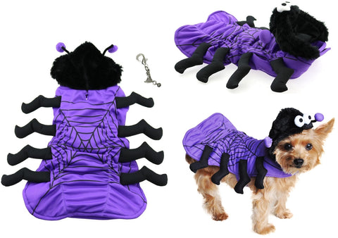 Spooky Cute Isty Bitsy Purple Plush Spider Costume for Dogs includes theme accessory - Daisey's Doggie Chic