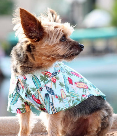 Camp Shirt in color Hawaiian Surfboards & Palms - Daisey's Doggie Chic