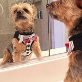 Charmed Tuxedo Styled Ultra Choke Free Step-in Harness Vest with 4 Detachable Bow Ties - Daisey's Doggie Chic