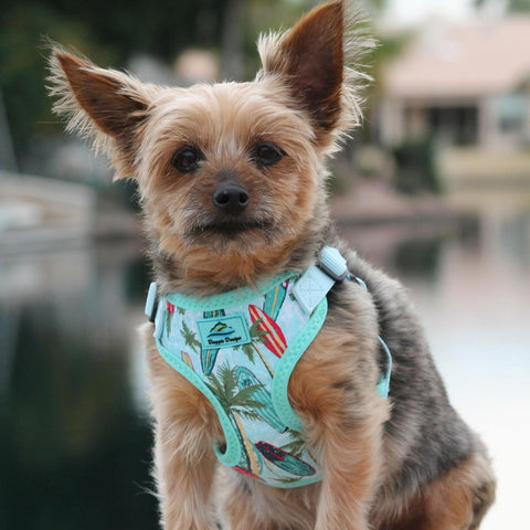 Wrap-Snap-n-Go  Choke-Free Harness in Surfboard Palms Print - Daisey's Doggie Chic