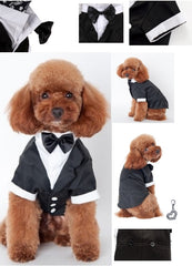 Wedding Formal Black Tails Tuxedo Jacket With Attached Shirt Bow Tie and Themed Accessory - Dog Sizes XS to 2XL - Daisey's Doggie Chic