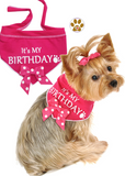 It's My Birthday (Girl or Boy) Bandana Scarf with Pin in Choice of color Pink or Blue - Daisey's Doggie Chic