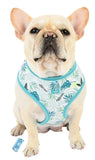 Botanical Garden Fresh Floral Foliage Choke-Free Halter Harness in 4 Color Patterns - Daisey's Doggie Chic