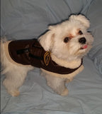 Aviator Bomber Pilot Jacket Harness with Airplane Themed Charm & Leash in color Chocolate - Daisey's Doggie Chic