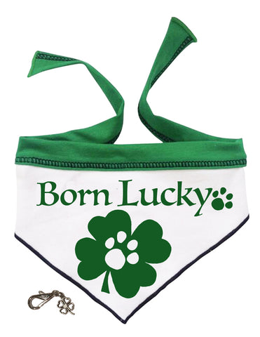 Born Lucky Irish Clover Themed Bandana Scarf with Charm - color Green/White - Daisey's Doggie Chic