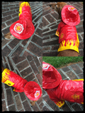 Fire Chief Raincoat with attached Helmet Hoodie in color Red/Yellow - Daisey's Doggie Chic