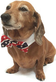 American Flag Stars and Stripes Bow Tie and Dress-up Shirt Collar With Pin - Daisey's Doggie Chic