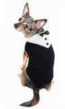 Tuxedo "Formal Wear" Styled Sweater in Black - Daisey's Doggie Chic