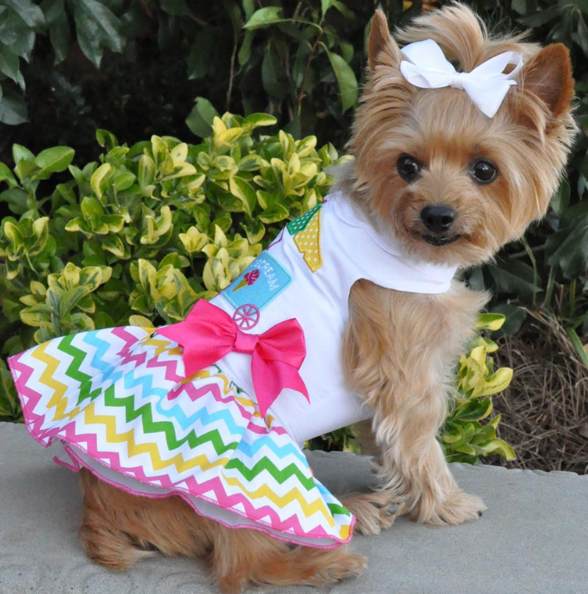 Ice Cream Cart Themed Multi-Colored Party Harness Dress with matching Leash - Daisey's Doggie Chic