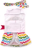 Ice Cream Cart Themed Multi-Colored Party Harness Dress with matching Leash - Daisey's Doggie Chic