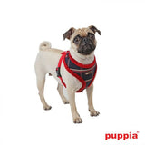 Puppia "Scholastic" Choke-Free Faux Fur Lined Halter Harness in Color Navy/Red - Daisey's Doggie Chic