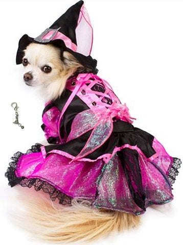 Shiny Pink Witch Dog Costume with Jewel Buckled Hat comes with  Witch Themed Charm - Daisey's Doggie Chic