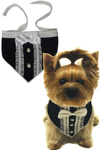 Formal Tuxedo Bandana Scarf in color Black/Ivory - Daisey's Doggie Chic