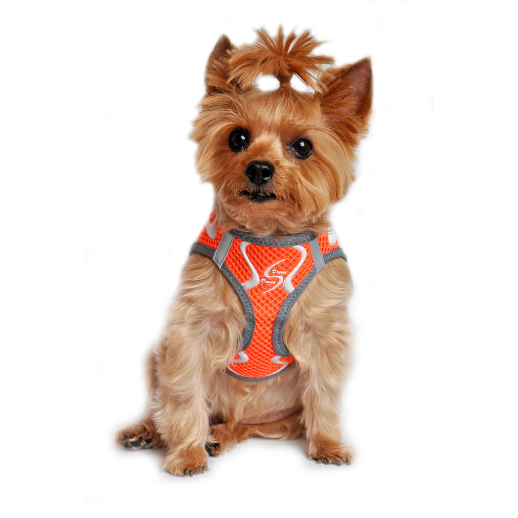 American River Ultra Choke-free Mesh Dog Harness by Doggie 