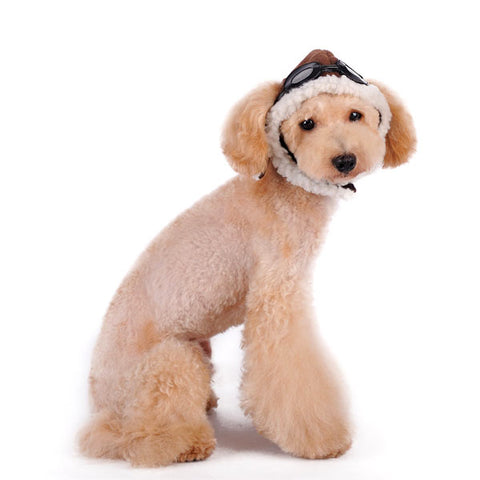 Aviator Hat with Goggles and Themed Charm for Dogs – Daisey's Doggie Chic